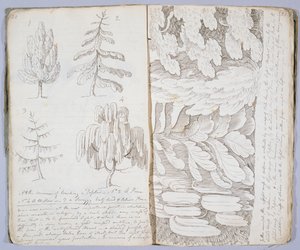 &39;द आर्ट ऑफ स्केचिंग&39;, 1801